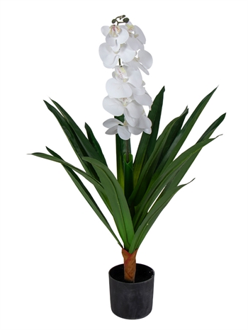Artificial Orchid - 80 cm - With branched white flowers - Artificial flower in black pot